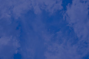 Tierarztpraxis Dr. med. vet. Juliane Boerner - Teichstrasse 10 - Kassel-Kirchditmold - Vorsorgeuntersuchungen - chirurgische Eingriffe - allgemeine und spezielle Untersuchungen - Hausbesuche - Hintergrund Himmel mit Wolken